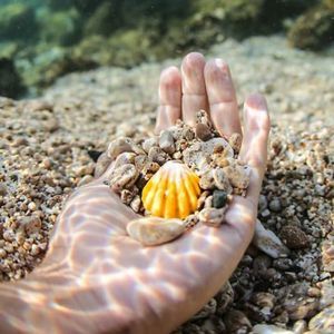 Meet your Posher, Eliana